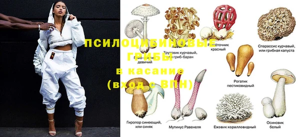 трава Верхний Тагил
