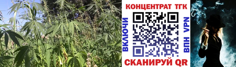 ТГК вейп  Купить где  Курлово 