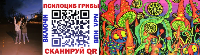 Купить  Курлово  Псилоцибиновые грибы мицелий 